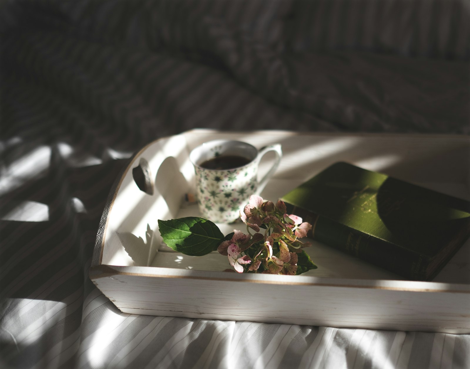 Best Ashwagandha For Libido Supplements, Ranked